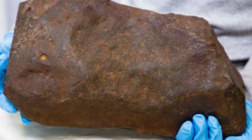 ما قيمة الصخرة التي احتفظ بها رجل سنوات ظاناً إياها ذهباً؟